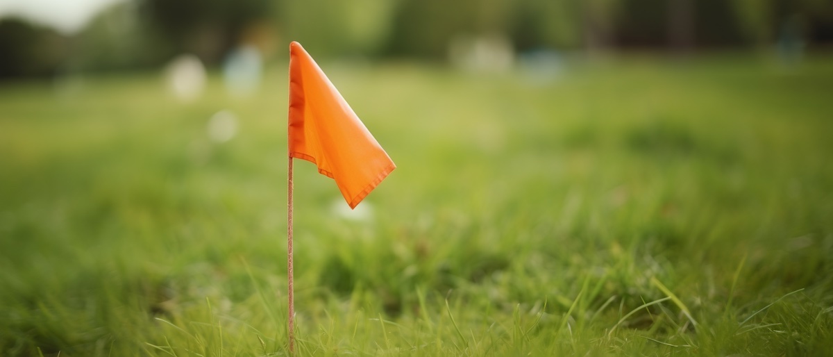 A man standing in front of a lawn.